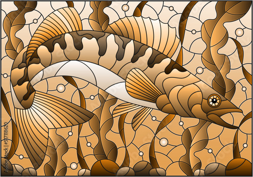 Illustration in stained glass style with pike perch fish on the background of algae, air bubbles and water, tone brown