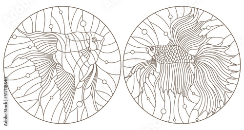 Set contour illustrations in the stained glass style aquarium fish fish cock and scalars , dark contours on white background