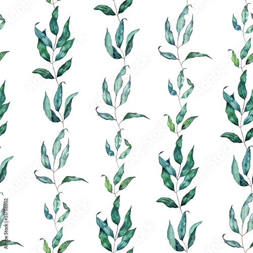 Realistic green grass, leaves, plant branches watercolor set. Various types of field grass, a collection of wild grass elements. Hand-painted parts of botanical plants  photo