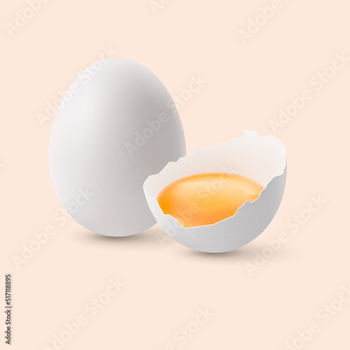 Fresh Organic Chicken Eggs. Broken and Whole White Chicken Eggs