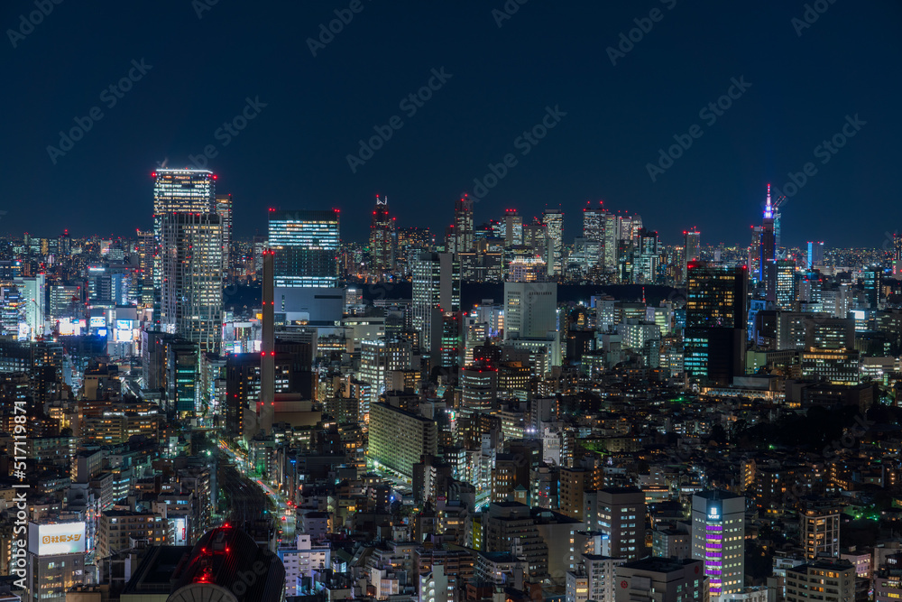 Tokyo Shibuya area cityscape at night.