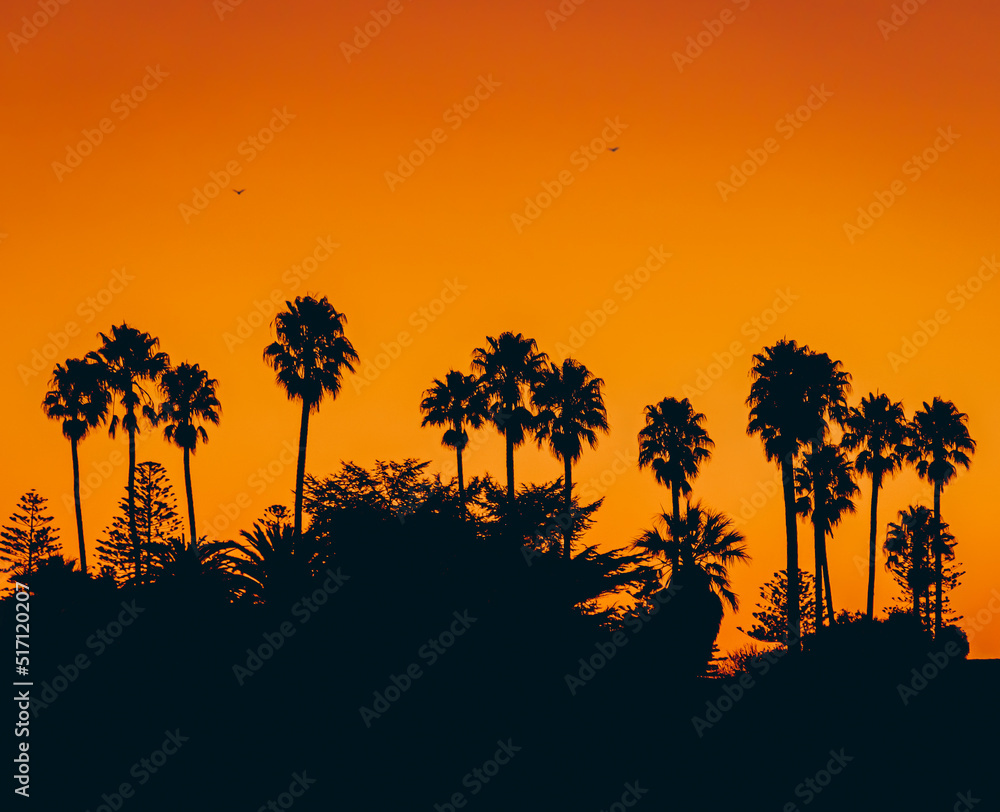 Orange sunrise with palms and birds