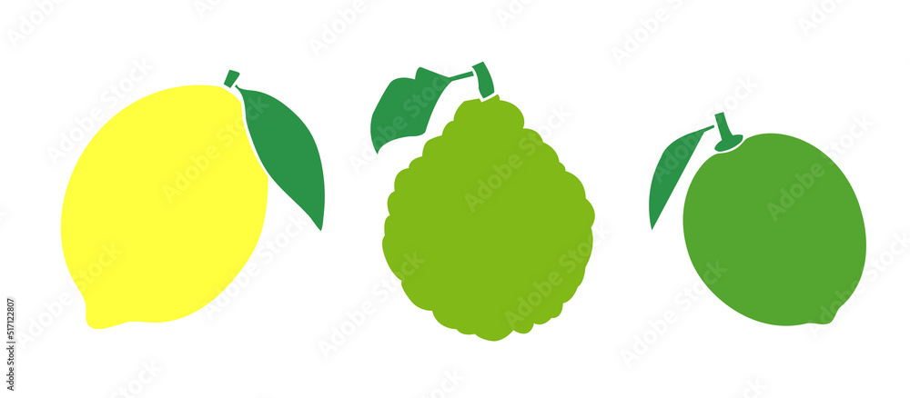Vector Set of fruits  - a lemon, bergamot and a lime - colour icons on white background images - obrazy, fototapety, plakaty 