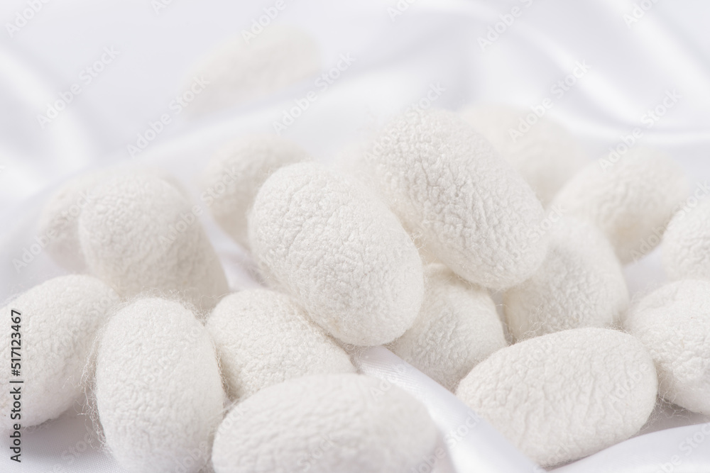 Natural silkworm cocoons on white silk fabric background Natural silkworm cocoons on white silk fabric background
