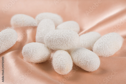 Natural white silkworm cocoons on brown silk fabric background