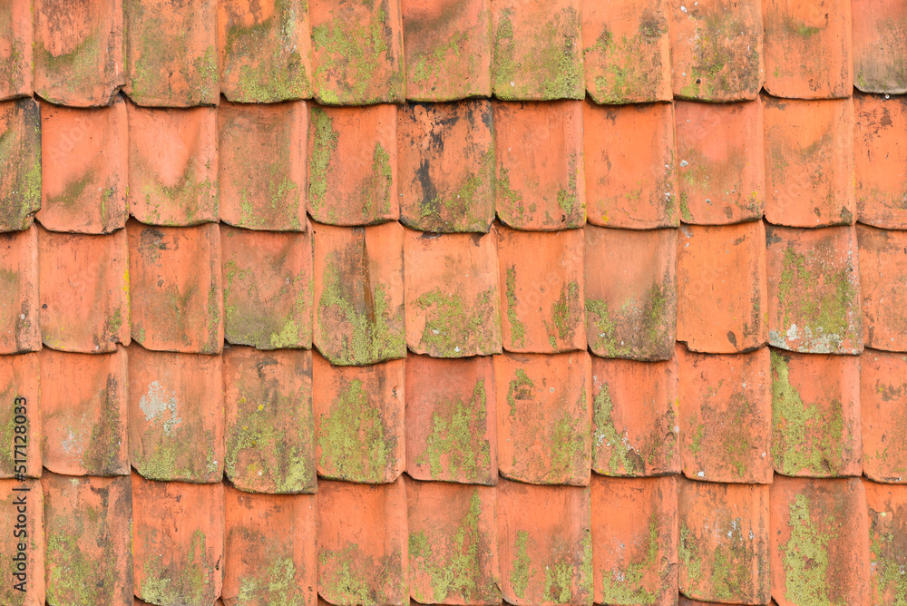 Koog aan de Zaan, Netherlands. July 2022. Background of red roof tiles. Koog aan de Zaan, Netherlands. July 2022. Background of red roof tiles.