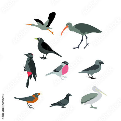 Vector collection of birds on a white background. Children's illustrations, stickers, print for T-shirts. scrapbooking, applique, postcard design, web page design, children's printing.
