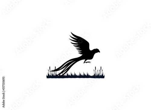 Beauty Flying Pheasant Silhouette Logo design 