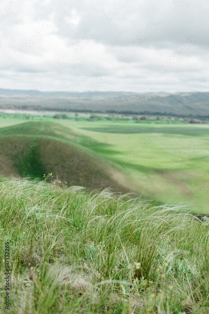 Obraz premium mountains nature and green fields