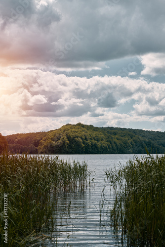 Peaceful view in the park with a lake and cloudy sky. Concept of outdoor activities in the countryside.