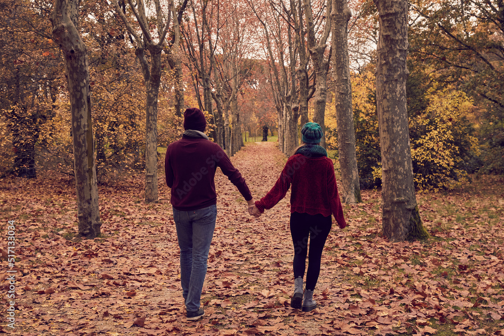 Young white Caucasian couple walking backwards holding hands apart strolling along a ground of fallen brown leaves and a path of trees in a park in autumn Young white Caucasian couple walking backwards holding hands apart strolling along a ground of fallen brown leaves and a path of trees in a park in autumn
