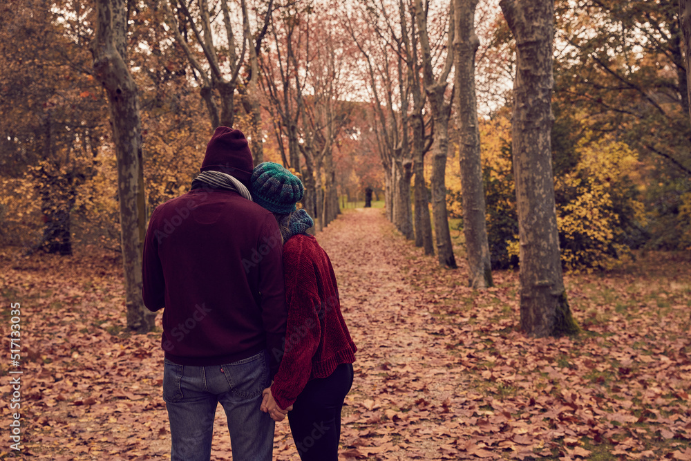 Fototapeta premium Young white Caucasian couple with unrecognizable backs holding hands on a ground of fallen brown leaves and a path of trees in a park in autumn