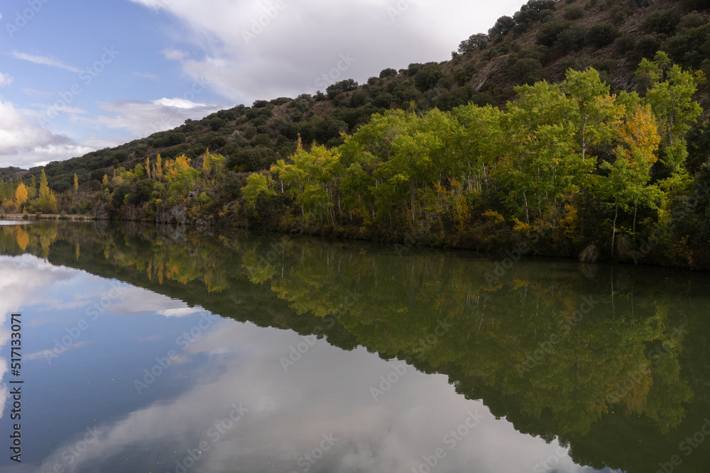 Fototapeta premium Autumn landscape in Soria with the yellow and green trees reflected in the Duero river with some clouds in the sky, Spain