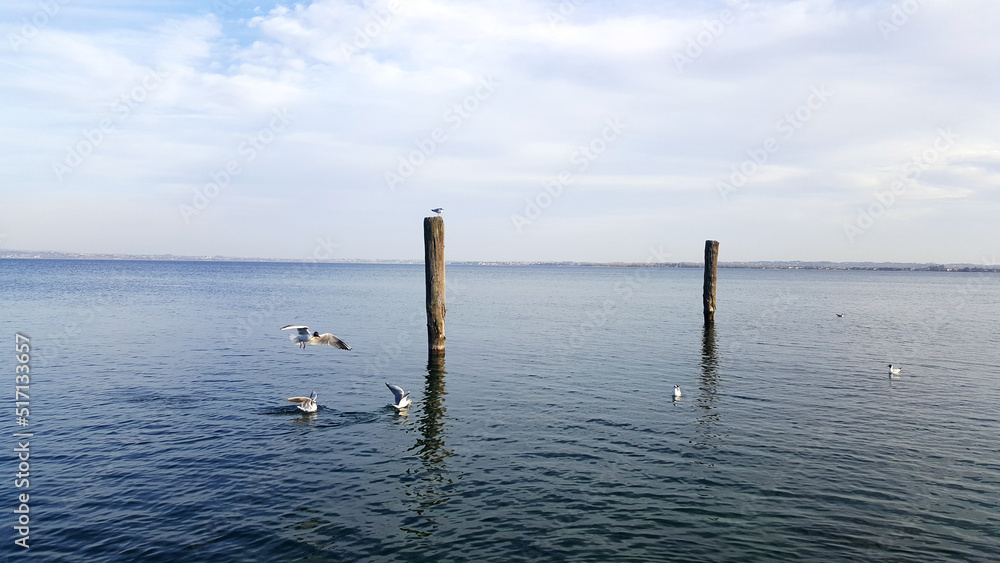 pier on the lake seagulls on the sea bird waves 