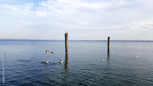 pier on the lake seagulls on the sea bird waves  © Volodymyr
