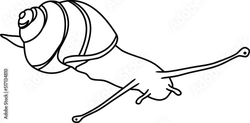 Coloring page with White-lipped snail (Cepaea hortensis)