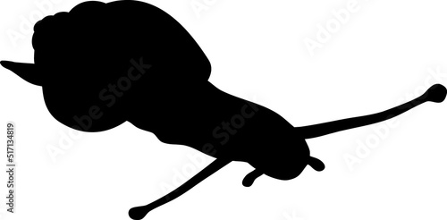 Black silhouette of white-lipped snail (Cepaea hortensis) isolated on white background