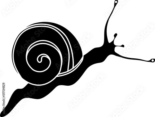 Black silhouette of white-lipped snail (Cepaea hortensis) isolated on white background