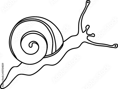 Coloring page with White-lipped snail (Cepaea hortensis)