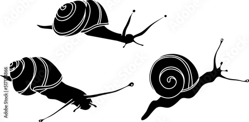 Black silhouette of White-lipped snail (Cepaea hortensis)	