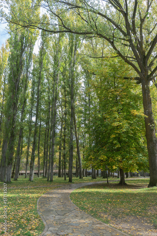 Very important park of Soria with a stone path that goes through areas with very tall trees that are yellowing with the arrival of autumn. Spain Very important park of Soria with a stone path that goes through areas with very tall trees that are yellowing with the arrival of autumn. Spain