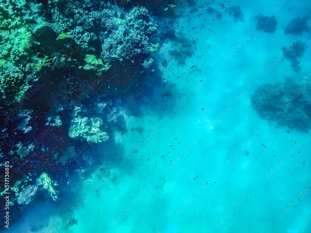 Obraz premium Turquoise marine abstract pattern with copy space. Underwater life in the Red Sea at depth
