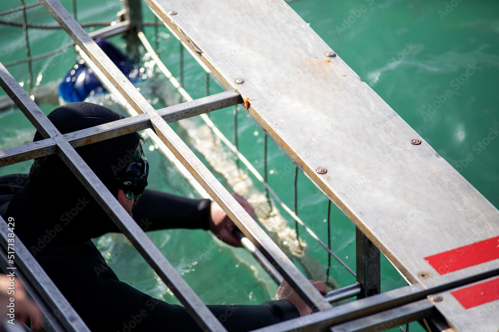 Person inside the shark observation cage of a boat in the shark alley in Gansbaai (South Africa) these deep waters are infested with great white sharks and other marine species.