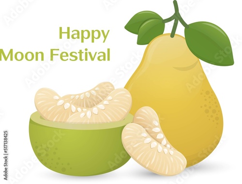 Vector of fresh tasty pomelo with pulp isolated