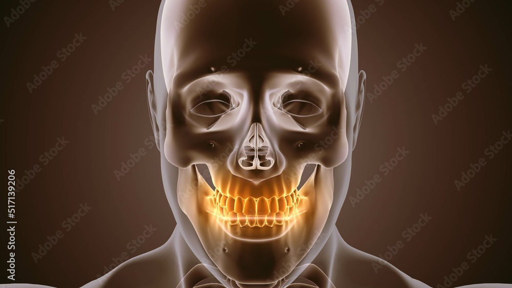 Medical animation with teeth pain Medical animation with teeth pain