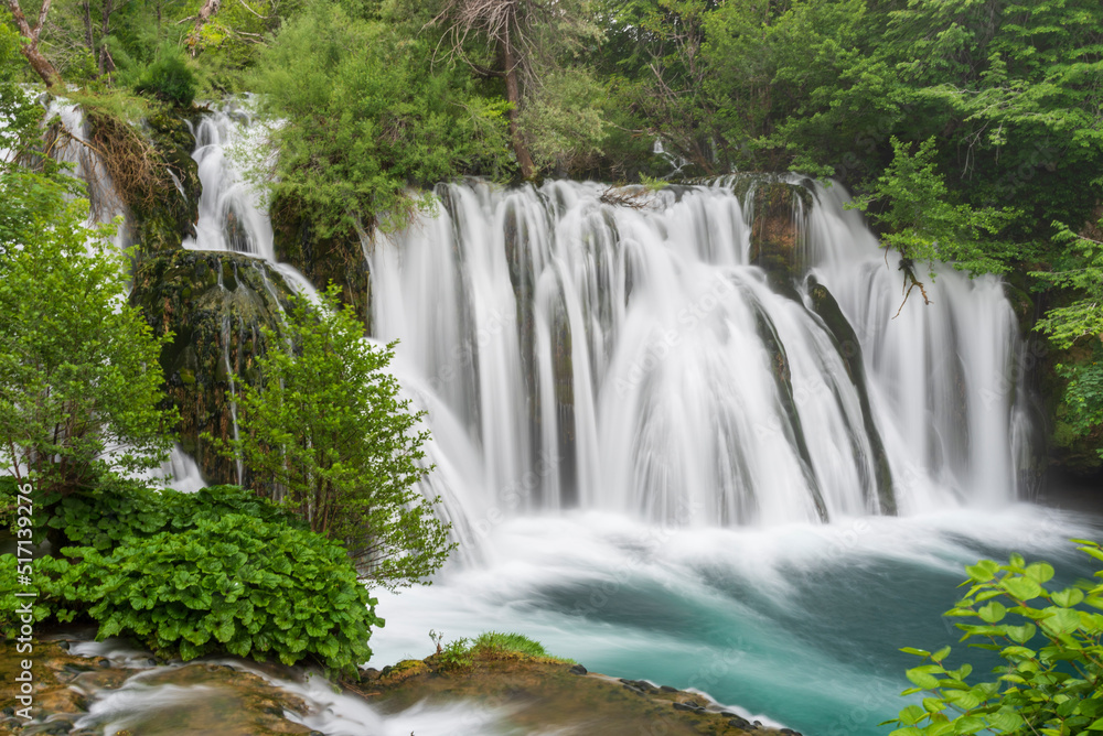 Fototapeta premium waterfall in the forest