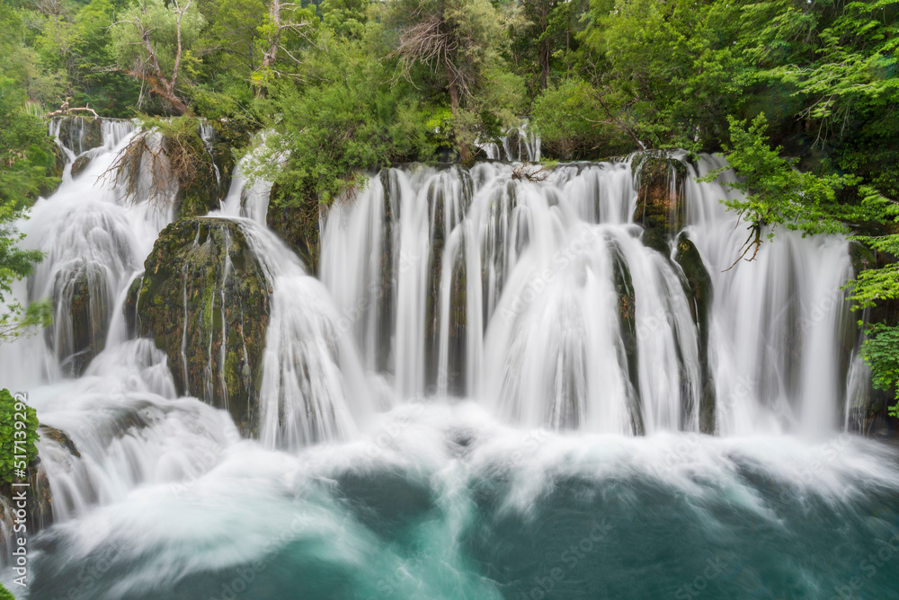 Fototapeta premium waterfall in the forest