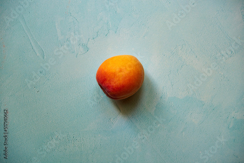 morela, Armeniaca Scop., Prunus subgen
