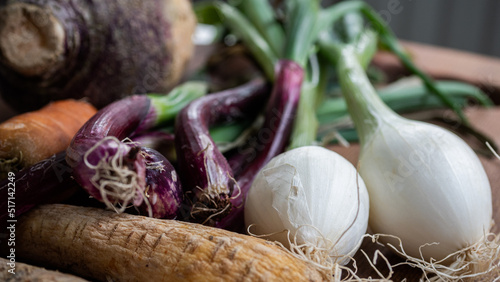 Seasonally grown red onion captured up close, along with other vegetables (carrots, onions, parsnips,rutabaga, parsnip).  Soup ingredients and food preparation concept.  photo