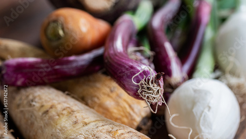 Seasonally grown red onions captured up close, along with other vegetables (carrots, onions, parsnips,rutabaga, parsnip).  Soup ingredients and food preparation concept.  photo