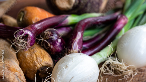 Seasonally grown red onions captured up close, along with other vegetables (carrots, onions, parsnips,rutabaga, parsnip).  Soup ingredients and food preparation concept.  photo
