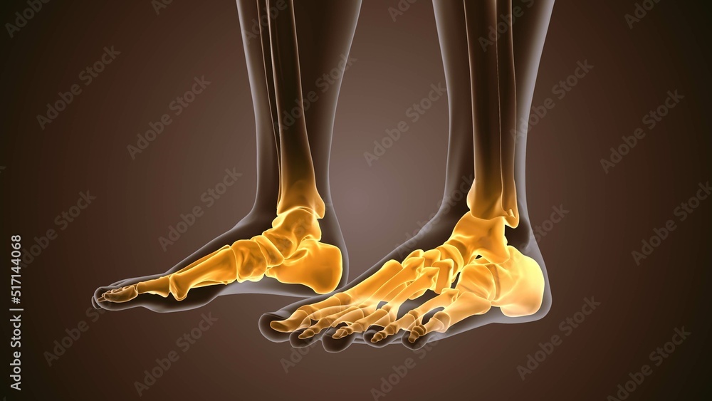 3d render of human figure ankle pain 3d render of human figure ankle pain