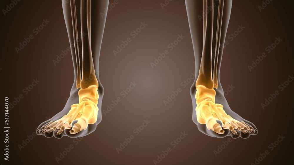 3d render of human figure ankle pain