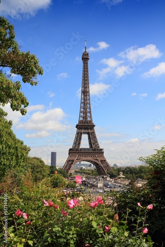 Eiffel Tower in Paris, France © Tupungato