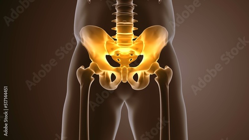 Pelvic pain medical animation background photo