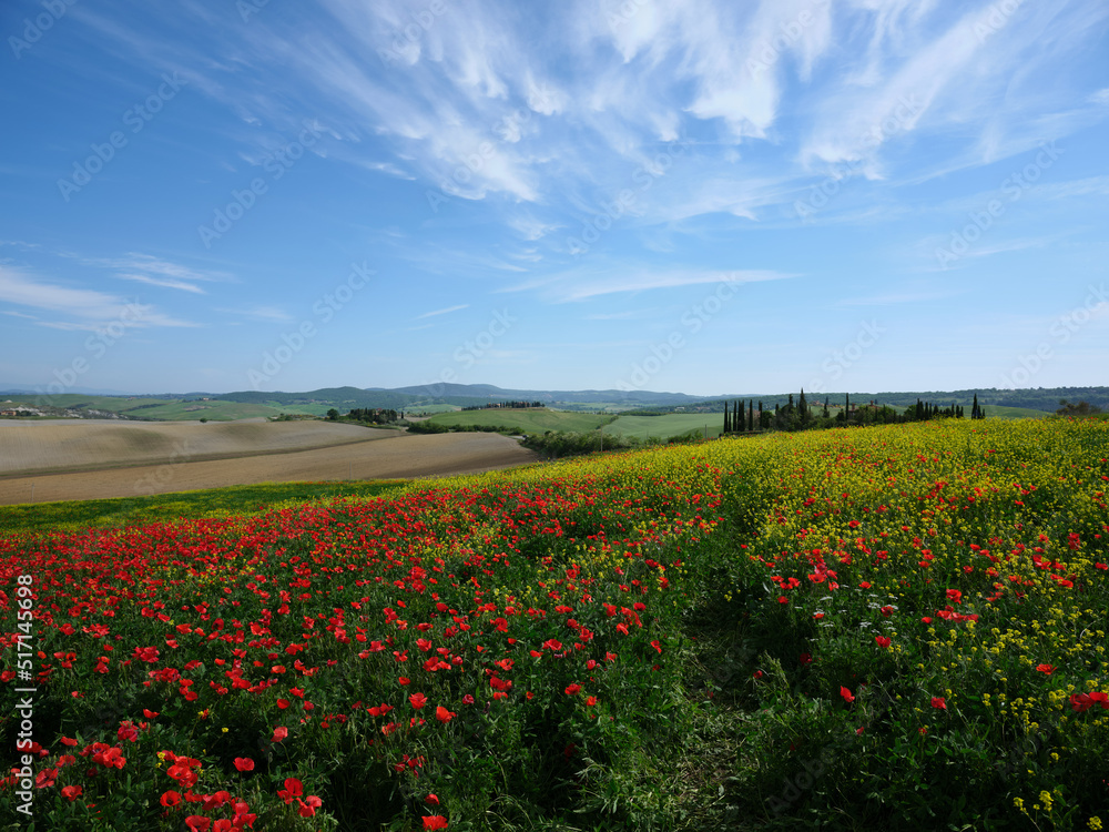 Views of beautiful Tuscany in Italy.