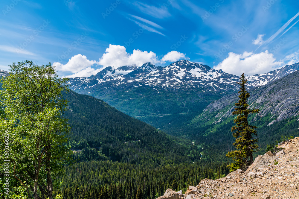 A view towards a mountain valley from a train on the White Pass and Yukon railway near Skagway, Alaska in summertime