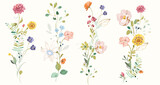 Set of floral branch. Flower pink, yellow rose, green leaves. Botanical, wildflowers arrangements