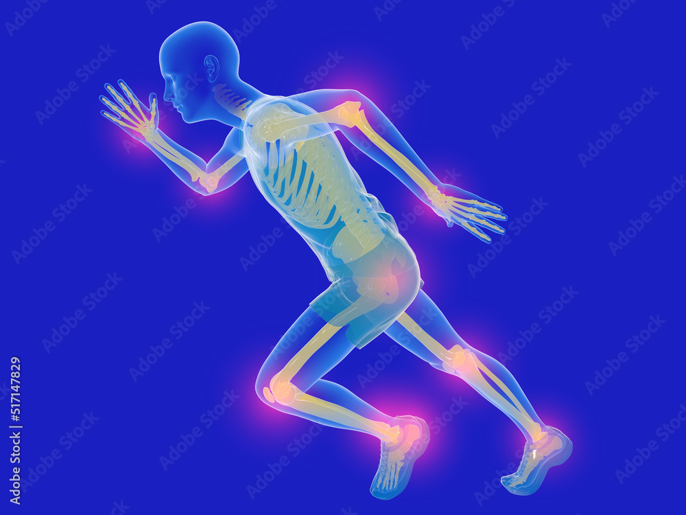 Human anatomical 3d illustration running. Transparent image showing the internal skeleton and the joints with pain. Human anatomical 3d illustration running. Transparent image showing the internal skeleton and the joints with pain.