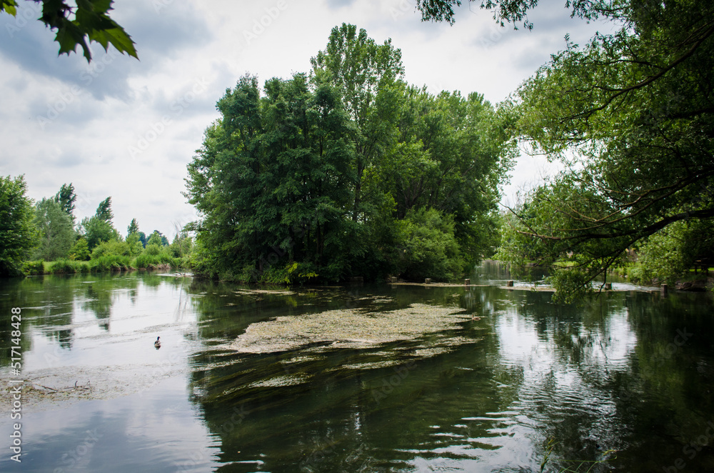 Un'ansa del fiume Mincio con un grosso albero lungo la Via Postumia, cammino che parte da Aquileia e arriva a Genova Un'ansa del fiume Mincio con un grosso albero lungo la Via Postumia, cammino che parte da Aquileia e arriva a Genova