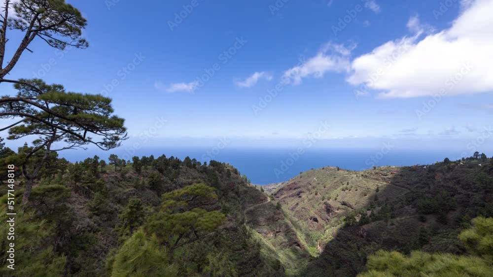La palma coast and forest view La palma coast and forest view