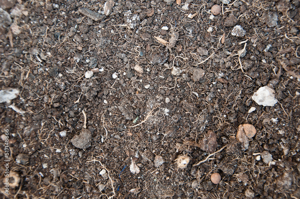 Organic soil or dirt ground surface texture mud background Organic soil or dirt ground surface texture mud background