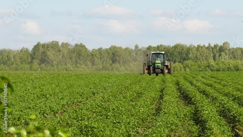 Farm machinery rides to the green field, agricultural natural seasonal spring works. Tractor hilling potatoes with disc hiller photo