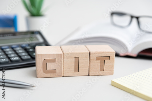 Photography CIT - Polish tax concept with wooden blocks