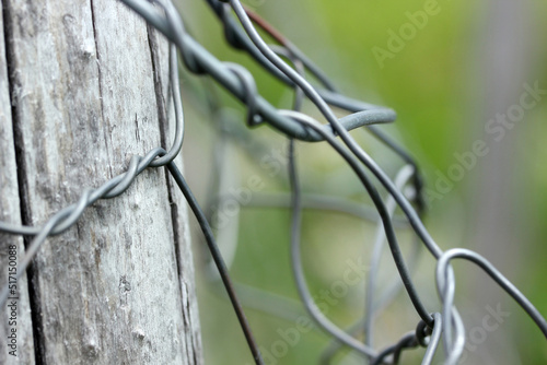 wire mesh tied to tree in farm