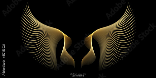Abstract symmetry bird wings line luxury gold light isolated on black background. Vector illustration.